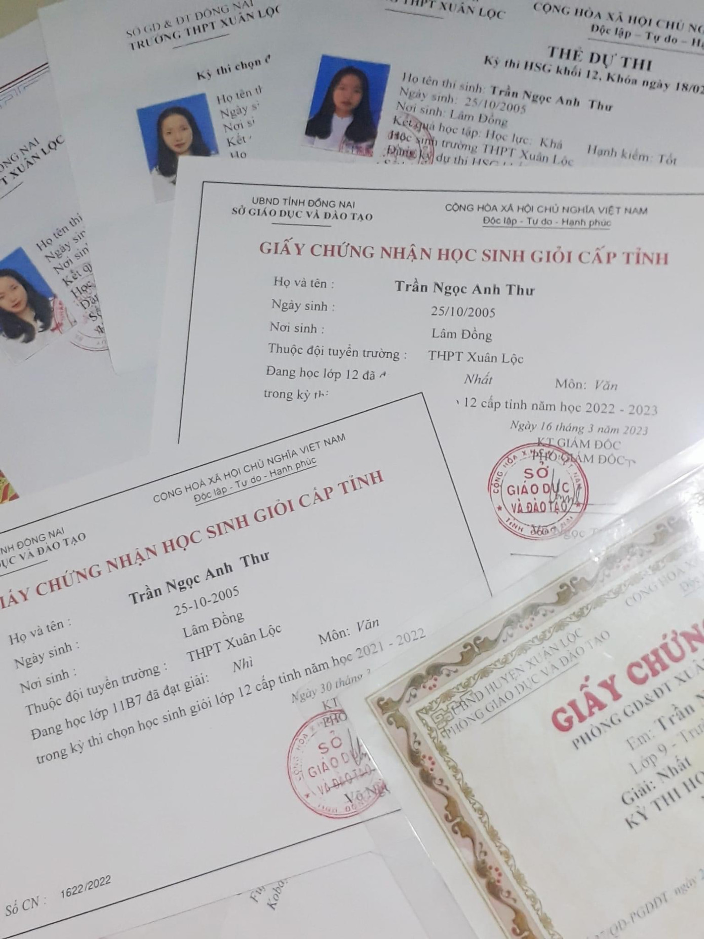 Anh Thư đoạt Giải Nhì môn Ngữ văn cấp tỉnh (2021-2022), Giải Nhất môn Ngữ văn cấp tỉnh (2022-2023), và hai lần được chọn vào đội tuyển Học sinh Giỏi Quốc gia. Anh Thư đoạt Giải Nhì môn Ngữ văn cấp tỉnh (2021-2022), Giải Nhất môn Ngữ văn cấp tỉnh (2022-2023), và hai lần được chọn vào đội tuyển Học sinh Giỏi Quốc gia.