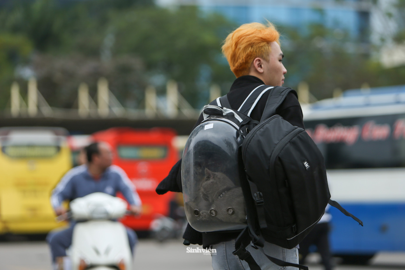 Nhiều sinh viên “bất ngờ” khi không được mang thú cưng lên xe dù cho có mua 2 vé. Nhiều sinh viên “bất ngờ” khi không được mang thú cưng lên xe dù cho có mua 2 vé.