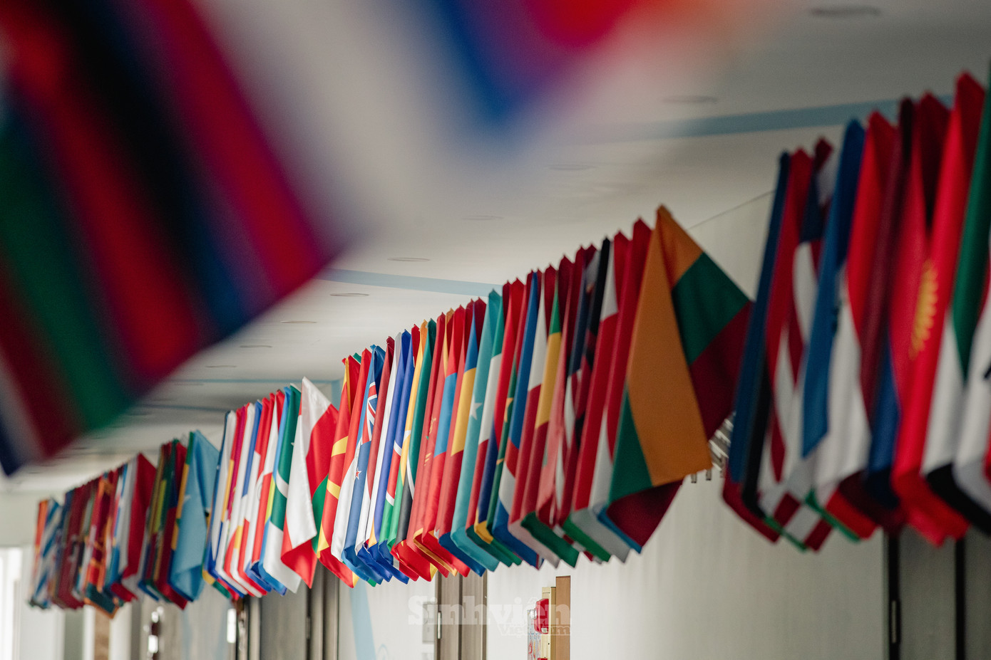 Sảnh Liên Hợp Quốc tại DAV, tại đây cờ của các quốc gia thành viên Liên Hợp Quốc được treo trang trọng dọc hành lang.