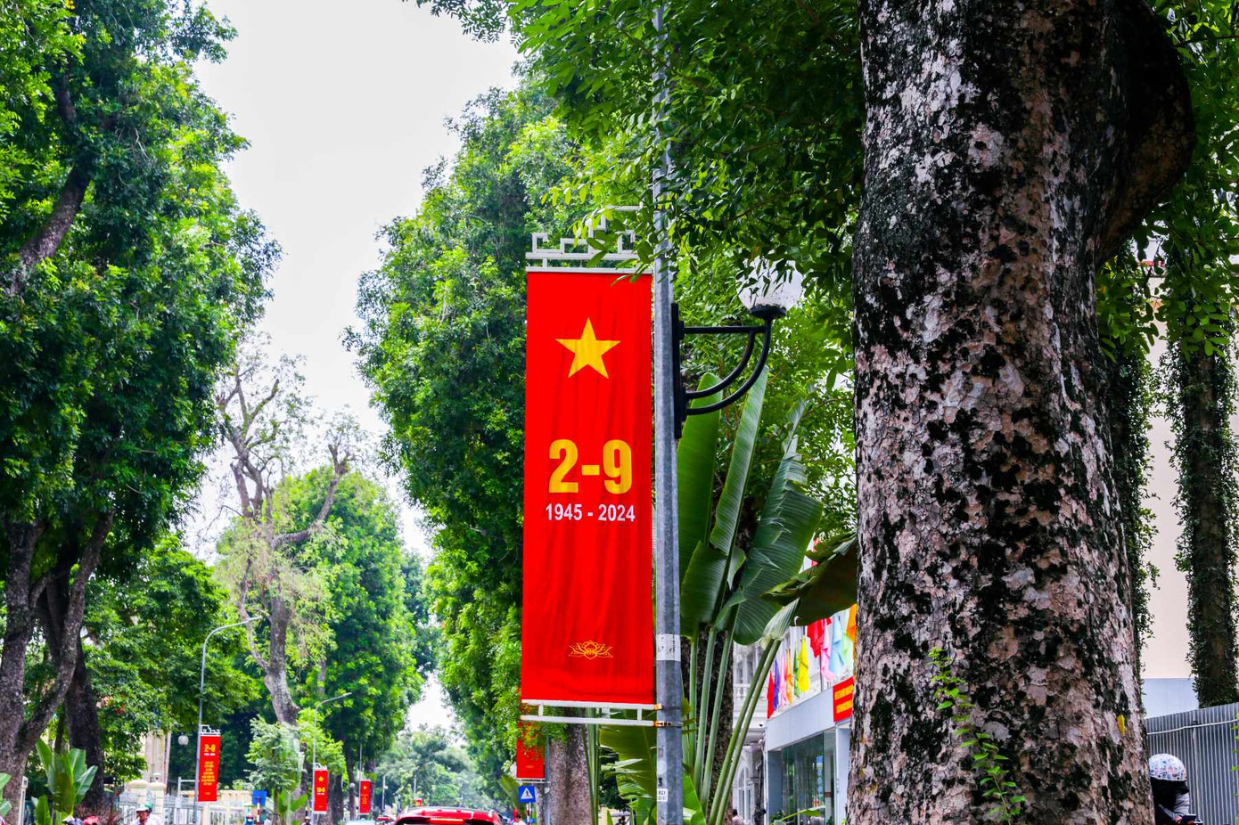 Băng rôn và lá cờ Tổ quốc được treo trịnh trọng trên khắp phố phường. Băng rôn và lá cờ Tổ quốc được treo trịnh trọng trên khắp phố phường.