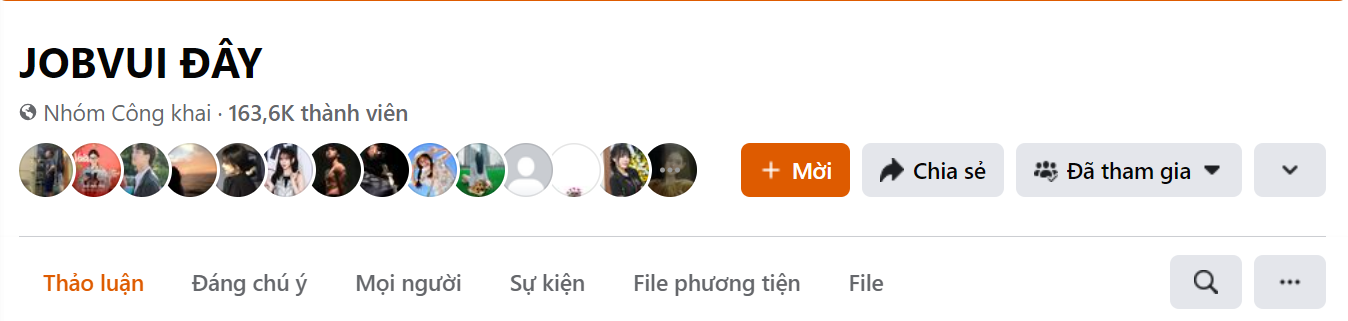 Nhóm cộng đồng JOBVUI ĐÂY hiện có 163.600 thành viên.