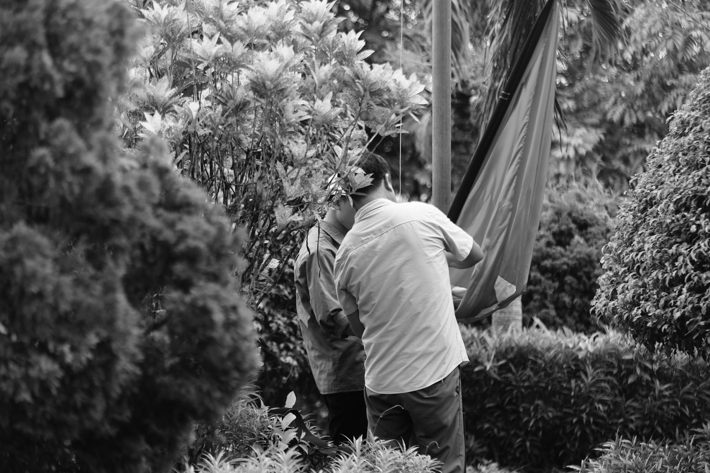 Treo cờ rủ tại trụ sở UBND xã Nam Chính, huyện Tiền Hải, tỉnh Thái Bình.