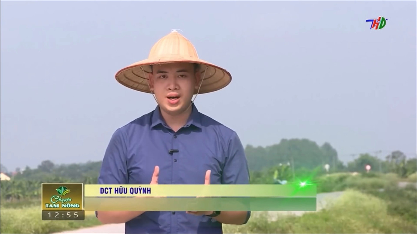 Hữu Quỳnh tham gia sản xuất tin, bài cho Đài Phát thanh &amp; Truyền hình tỉnh Hải Dương.