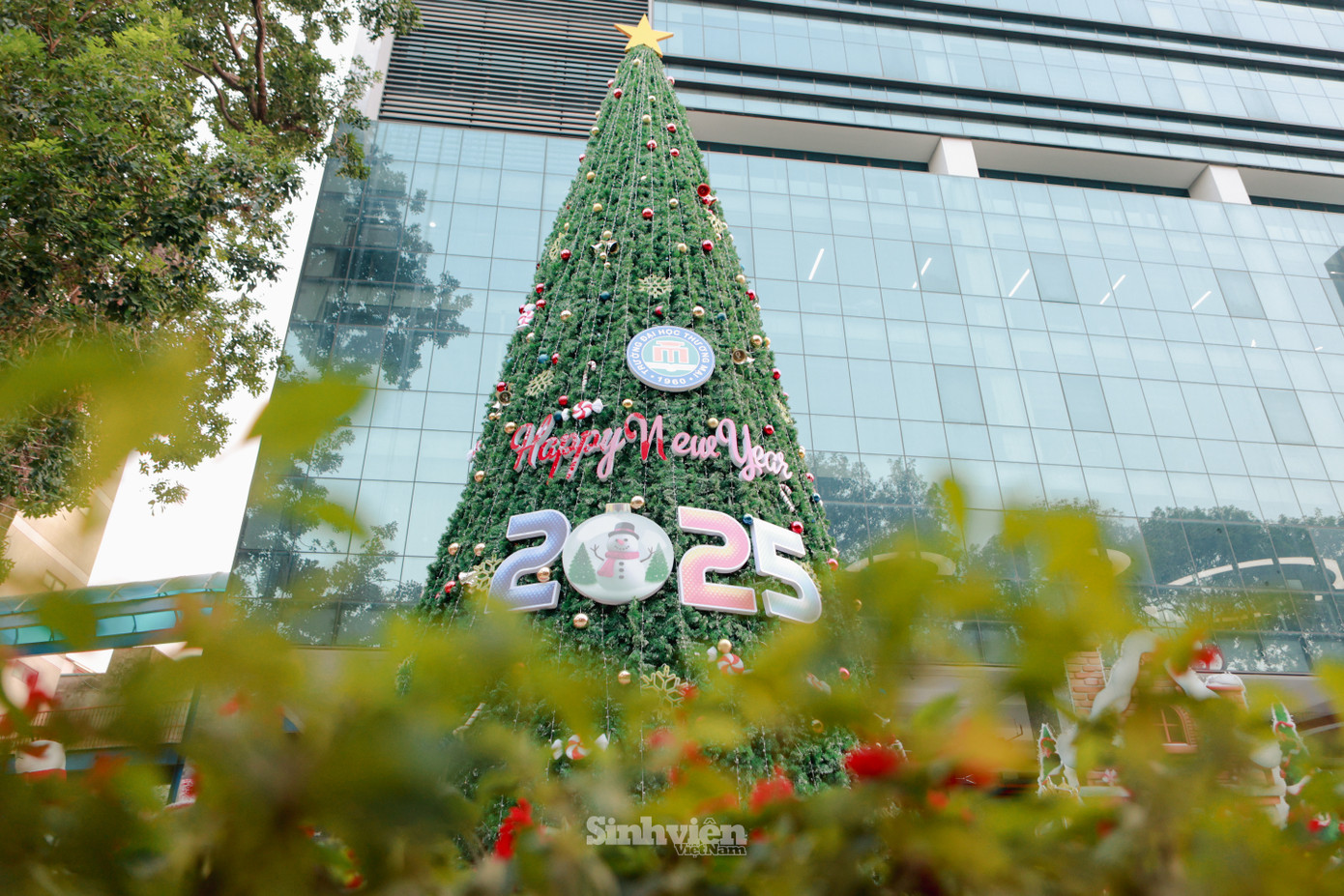 Cây thông Noel lớn được dựng tại Trường Đại học Thương mại.