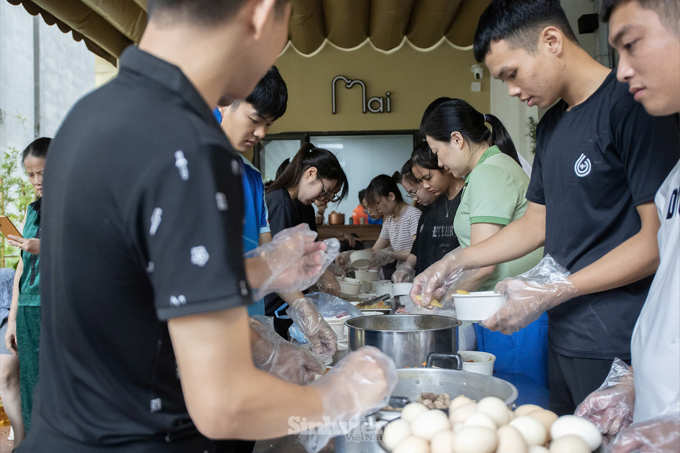 Sinh viên Thái Nguyên có mặt ở tất cả 'mặt trận'.
