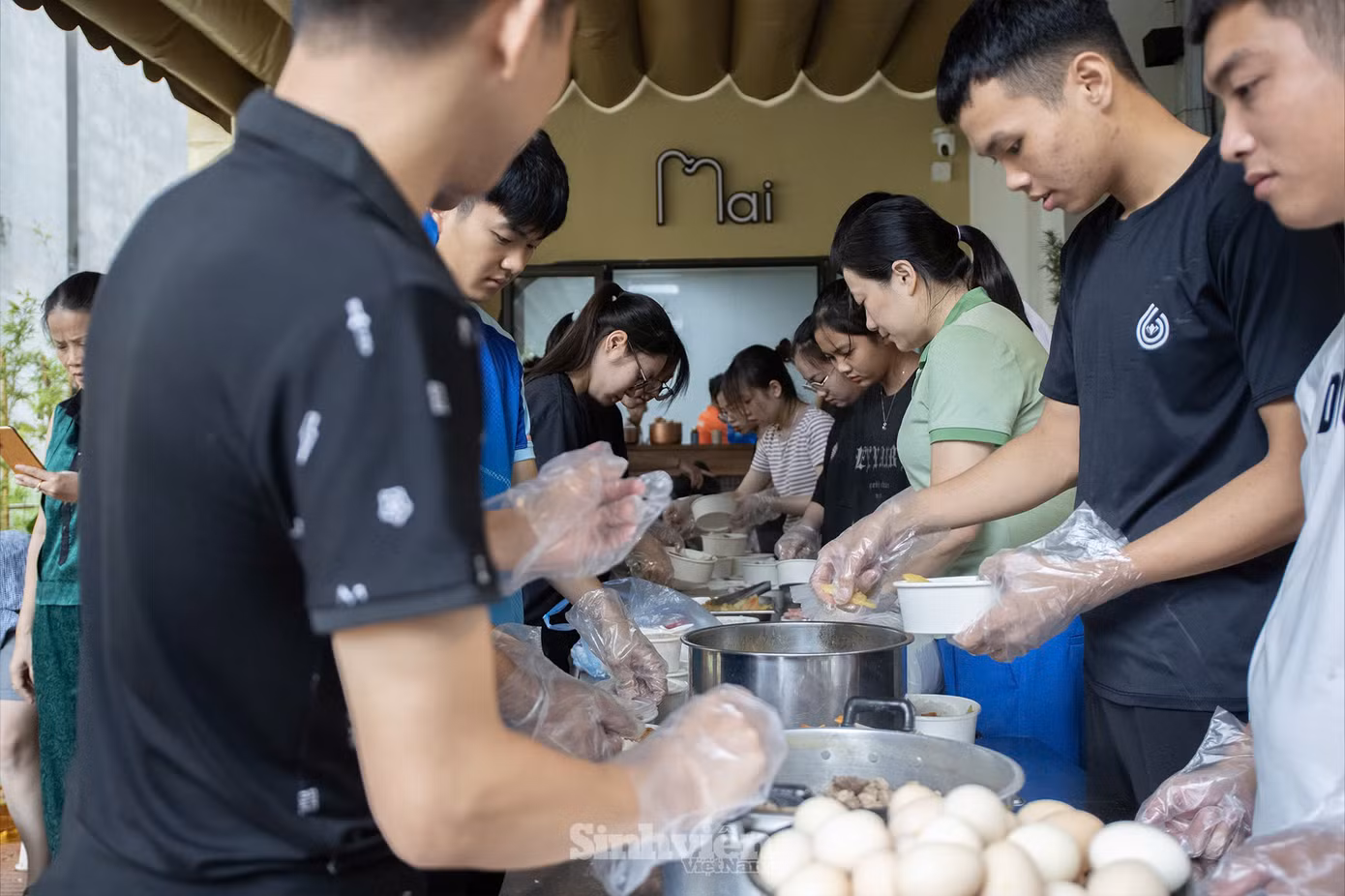 Sinh viên Thái Nguyên có mặt ở tất cả 'mặt trận'.