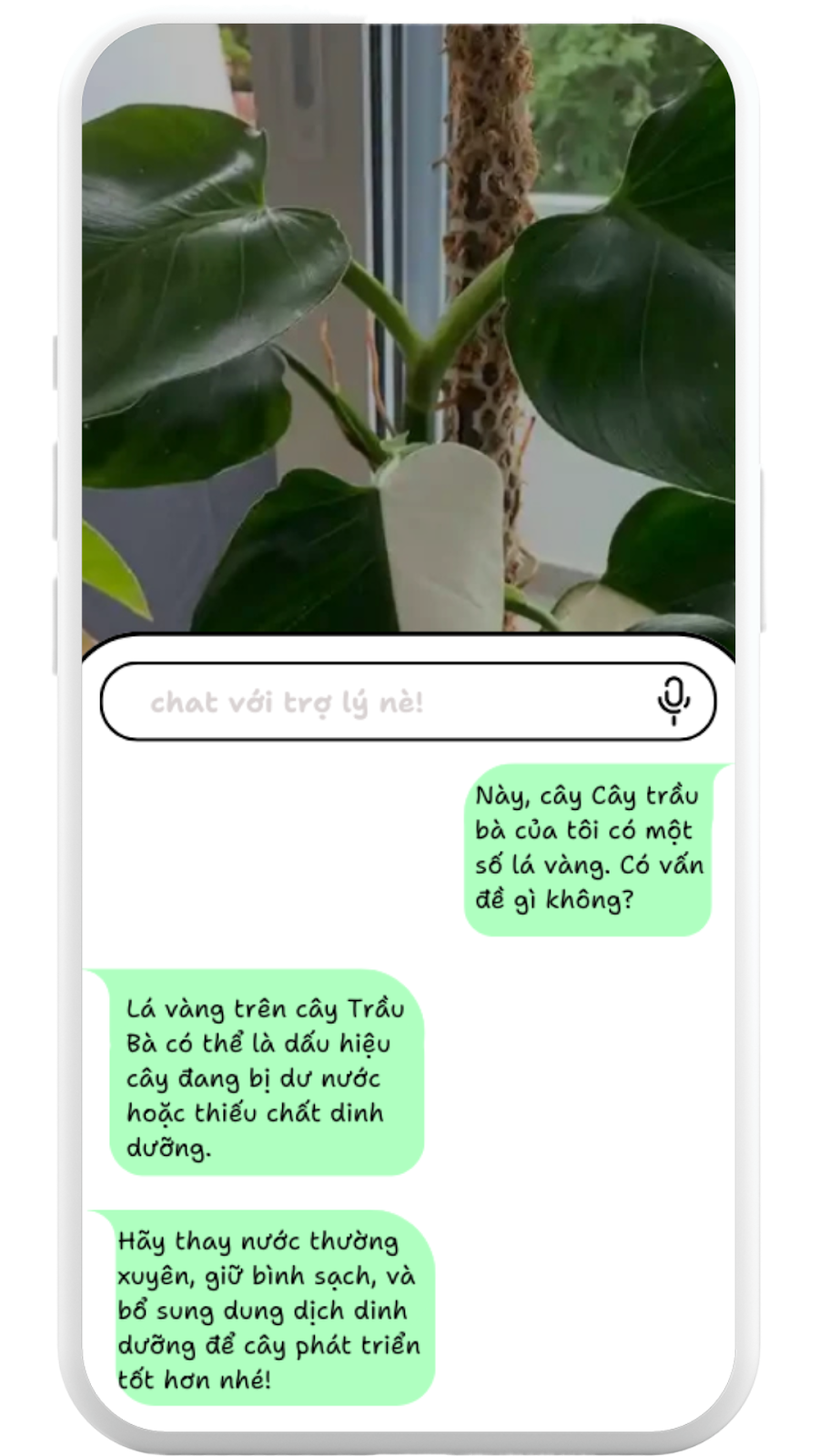 Chụp ảnh và hỏi đáp với trợ lý ảo để kiểm tra tình trạng bên ngoài của cây. Chụp ảnh và hỏi đáp với trợ lý ảo để kiểm tra tình trạng bên ngoài của cây.