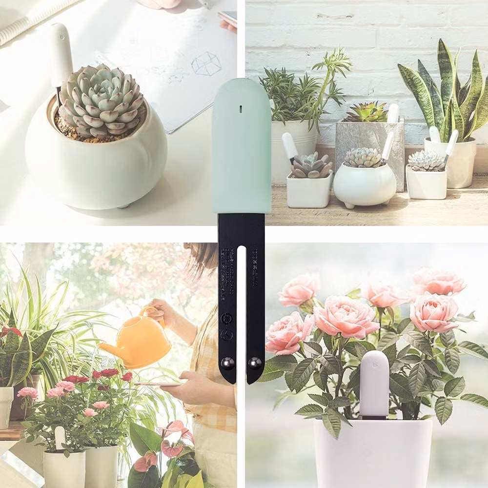 Thiết bị cảm biến để đọc trạng thái của cây. Thiết bị cảm biến để đọc trạng thái của cây.