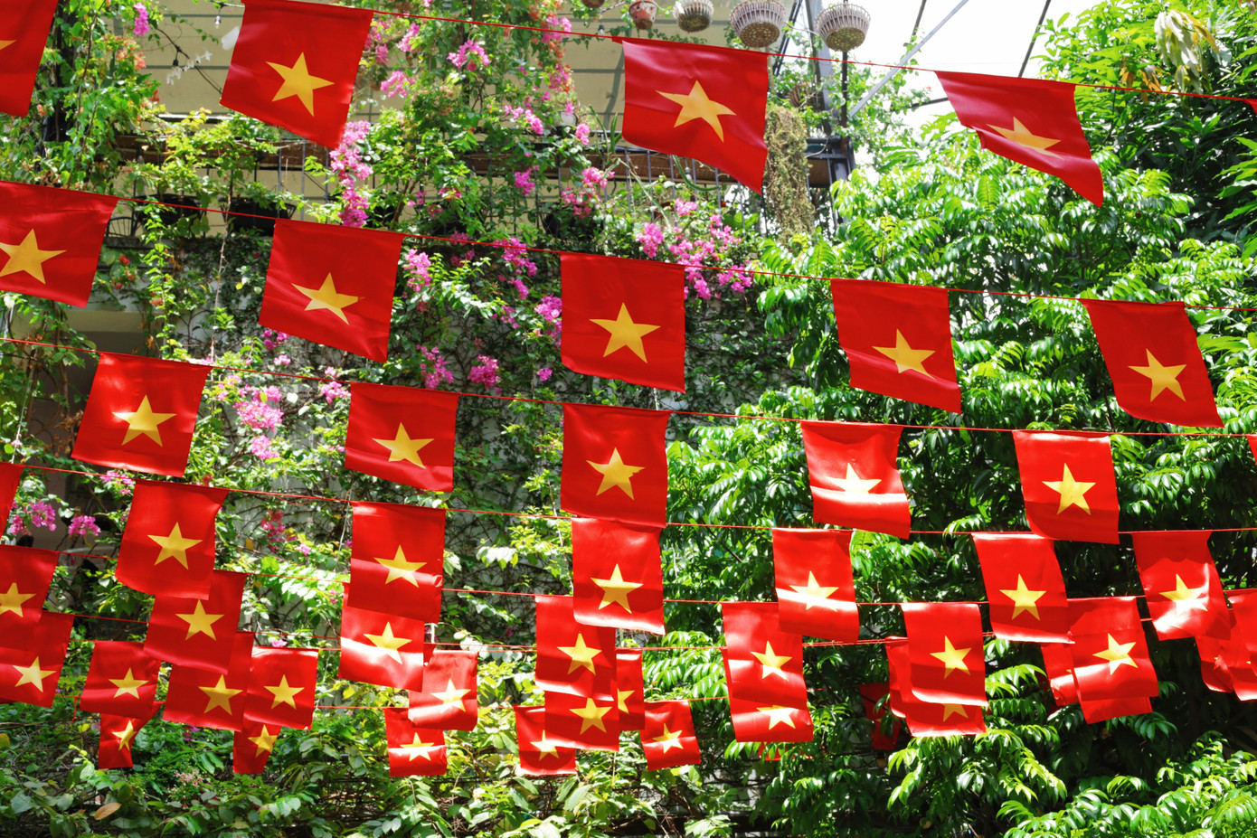 Phấp phới cờ hoa đón mừng ngày Quốc khánh. Phấp phới cờ hoa đón mừng ngày Quốc khánh.