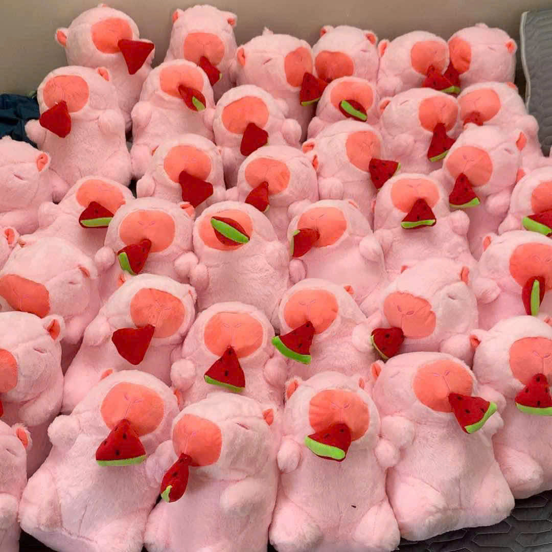 Món quà dễ thương của các 'anh tài' lớp chuyên ngành Kinh tế Quốc tế, Trường Đại học Thuỷ Lợi dành tặng các bạn nữ.