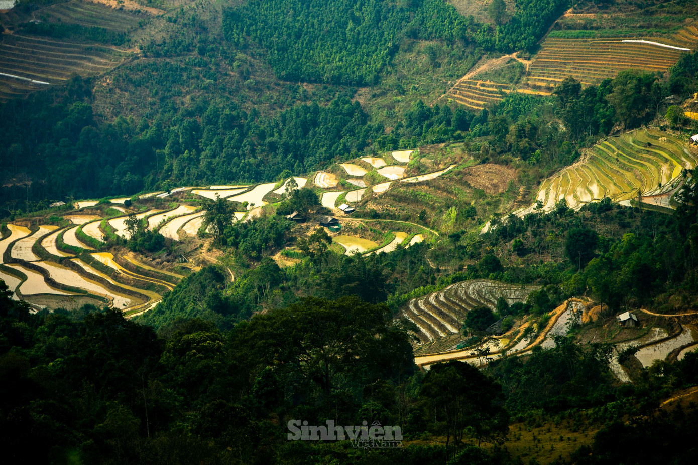 Xã Suối Giàng, huyện Văn Chấn thuộc vùng 135 (vùng đặc biệt khó khăn) với 98% tổng số người dân là người dân tộc H-Mông.