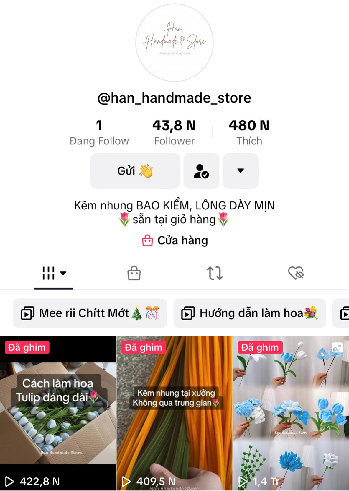 Kênh Tiktok do Thảo xây dựng nhận được lượng tương tác cao.