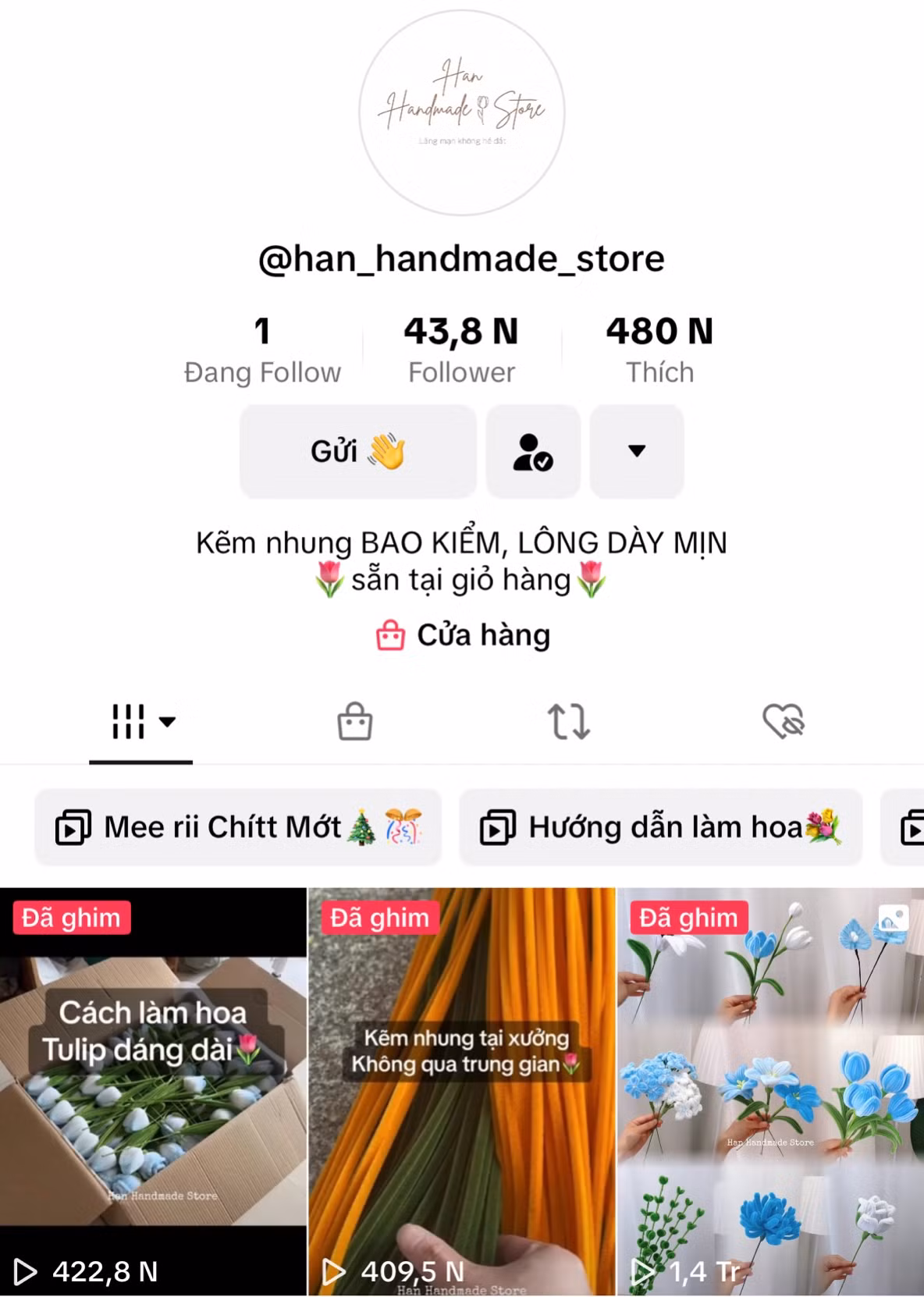 Kênh Tiktok do Thảo xây dựng nhận được lượng tương tác cao.