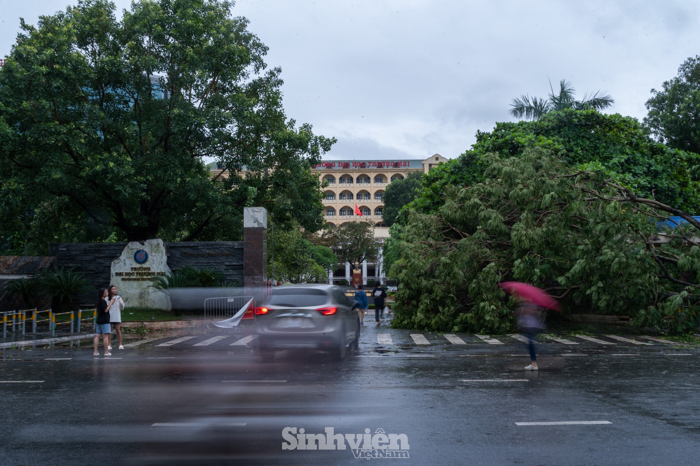 Cây lớn đổ, chắn ngang cổng Trường Đại học Thương mại.