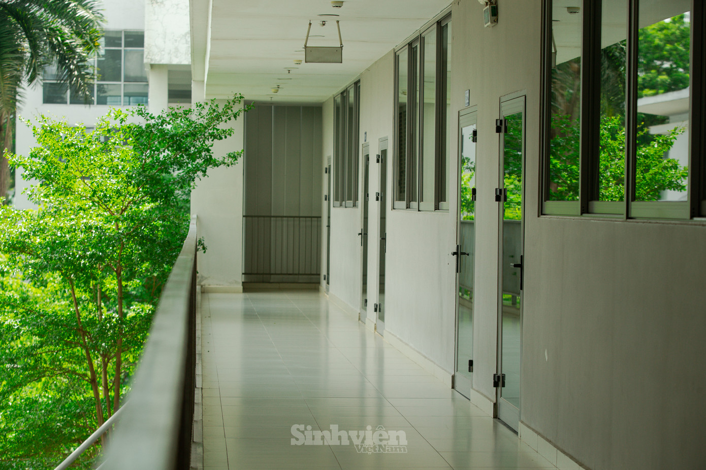 Không gian xung quanh lớp học luôn rợp bóng cây. Không gian xung quanh lớp học luôn rợp bóng cây.