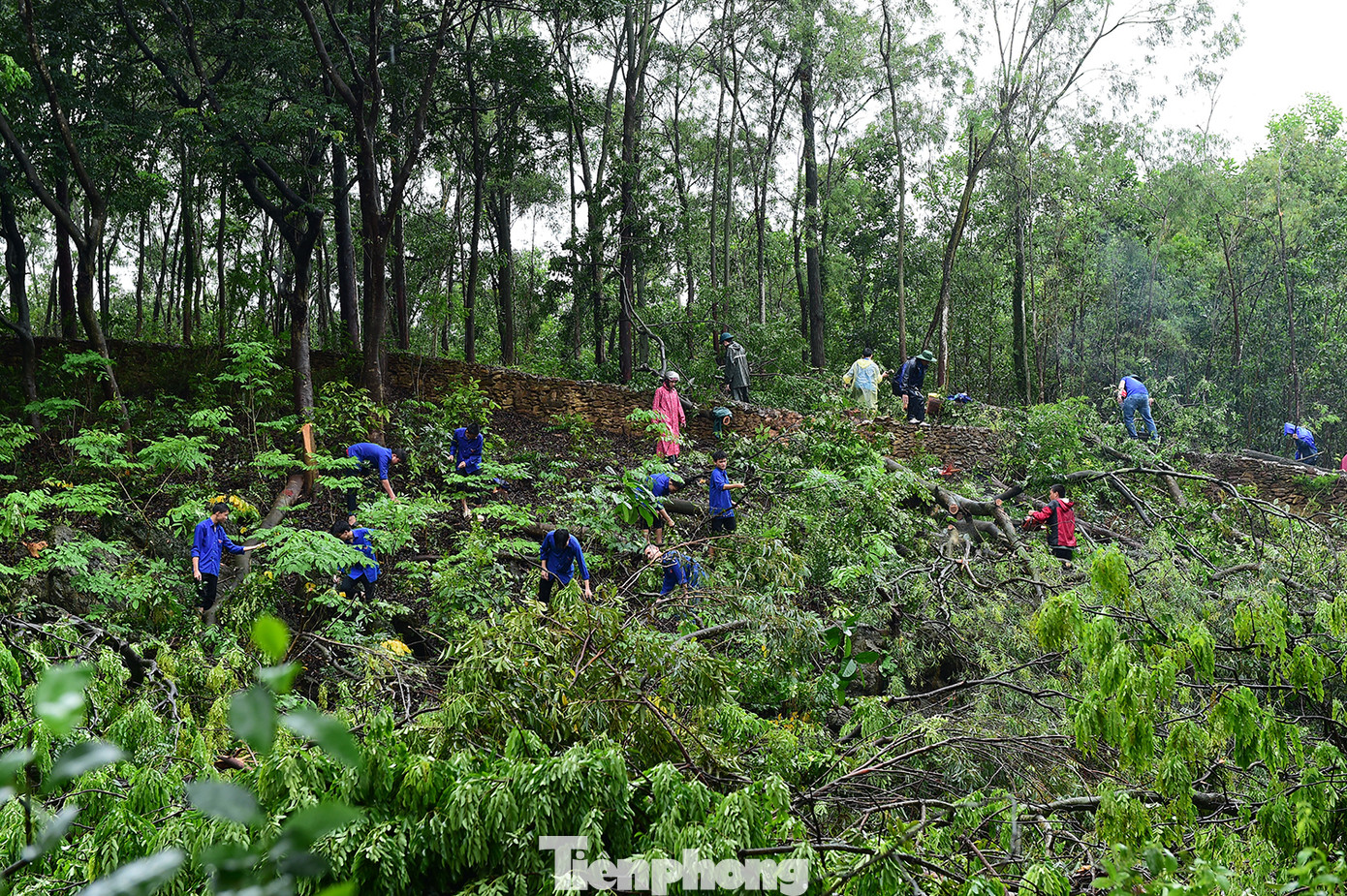 Đoàn viên thanh niên huyện Hậu Lộc phát quang cây cối tạo mặt bằng phục vụ thi công công trình. Ảnh: Xuân Tùng
