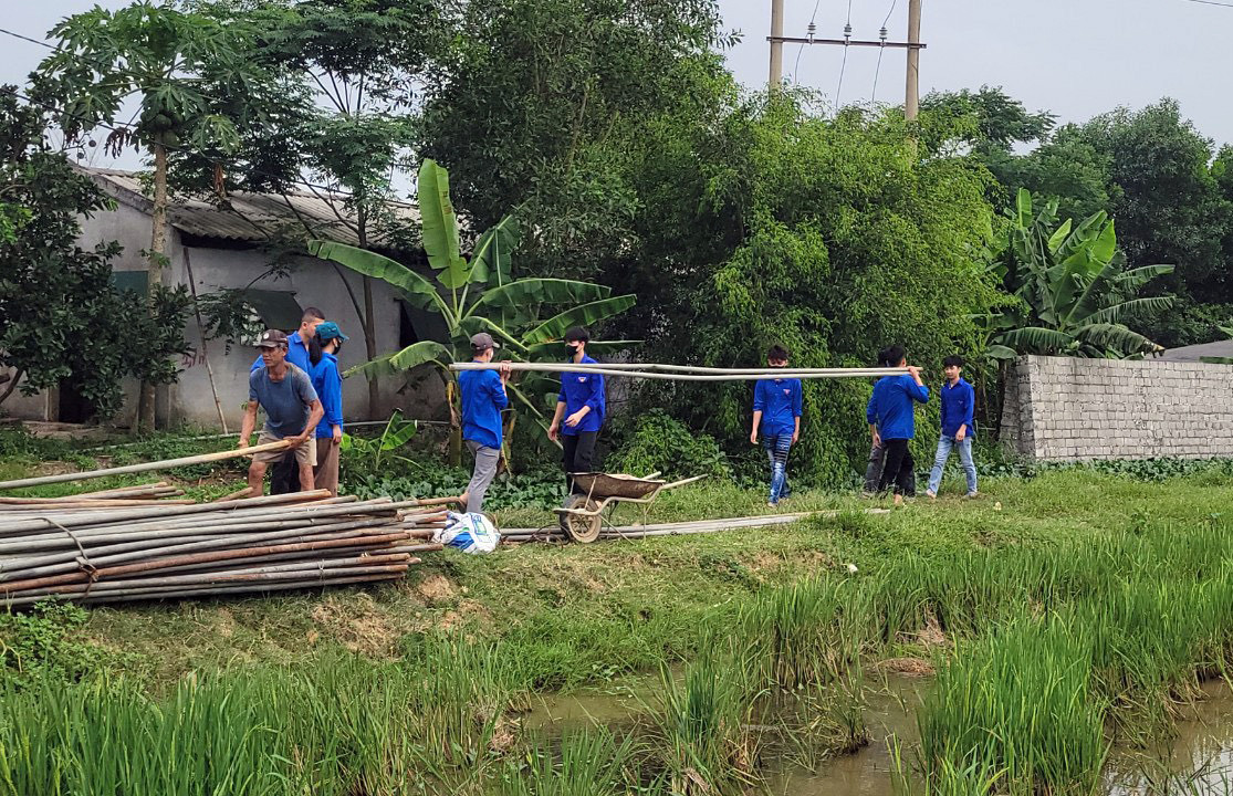 Đoàn viên Thanh Hóa, Nam Định, Ninh Bình tích cực tham gia dự án đường dây 500kV mạch 3 ảnh 4