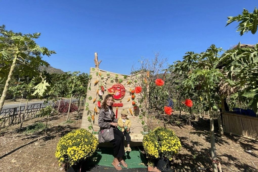 Du khách đến check-in tại vườn đu đủ của anh Vi Văn Quang (Ảnh: Nhân vật cung cấp).