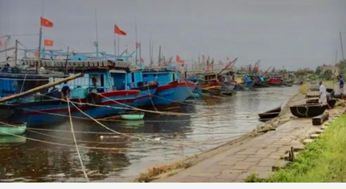 Tàu thuyền vào nơi trú ẩn an toàn.