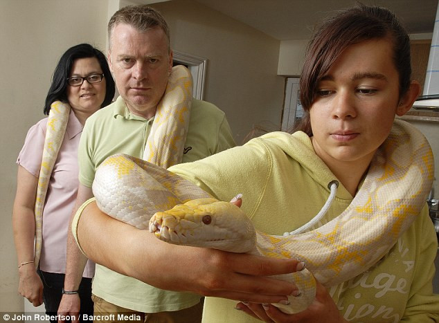 Chú trăn Lilly trên cổ của các thành viên