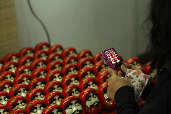 Chụp lại hình ảnh về nhân vật chính - búp bê Daruma