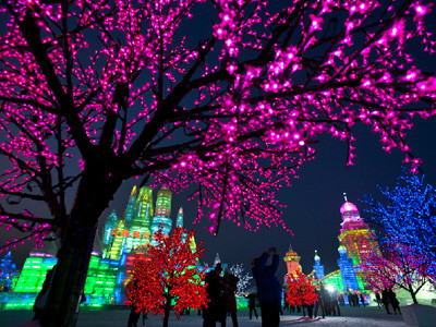 Cây cối được trang trí đèn với nhiều màu sắc trong Lễ hội băng đăng quốc tế Cáp Nhĩ Tân. Ảnh: icefestivalharbin.com