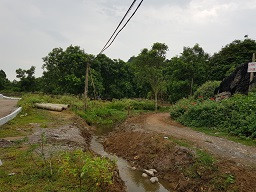 Phá đường lên động Tiên Sơn: 'Bảo kê' hay coi thường pháp luật? ảnh 1