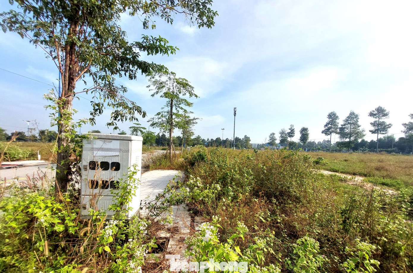 Dự án Khu nhà ở Đại Nam có quy mô 105,8 ha, do Công ty Cổ phần Đại Nam làm chủ đầu tư với tổng vốn đầu tư hơn 2.300 tỷ đồng. Dự án Khu nhà ở Đại Nam có quy mô 105,8 ha, do Công ty Cổ phần Đại Nam làm chủ đầu tư với tổng vốn đầu tư hơn 2.300 tỷ đồng.