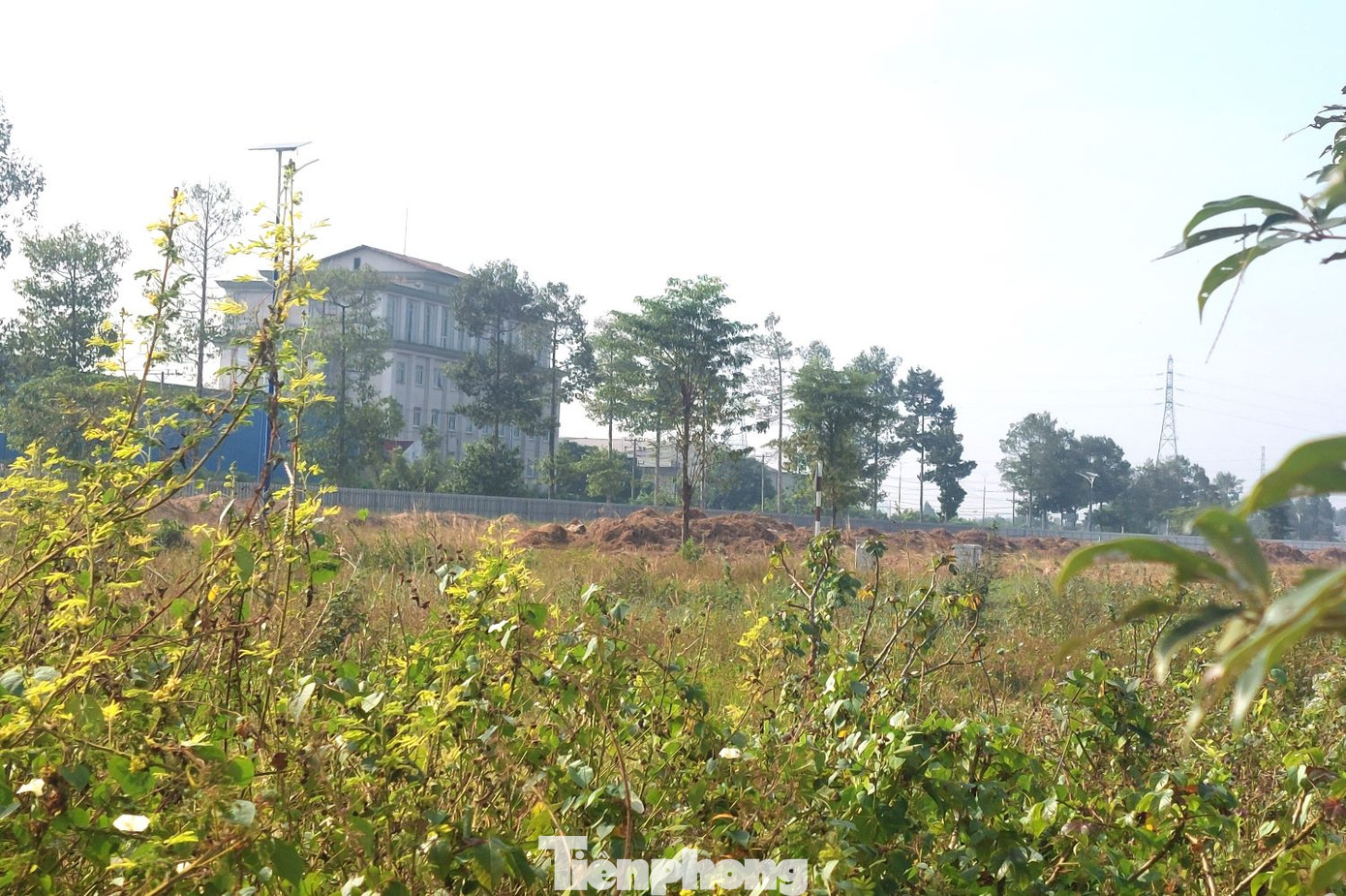 Dự án nằm ở vị trí đắc địa, giáp trung tâm hành chính tỉnh và các khu công nghiệp Đại Đăng, Kim Huy. Dự án có nhiều tuyến đường chính đi qua, trong đó có đường Võ Văn Kiệt, Nguyễn Văn Linh, Điện Biên Phủ. Dự án nằm ở vị trí đắc địa, giáp trung tâm hành chính tỉnh và các khu công nghiệp Đại Đăng, Kim Huy. Dự án có nhiều tuyến đường chính đi qua, trong đó có đường Võ Văn Kiệt, Nguyễn Văn Linh, Điện Biên Phủ.