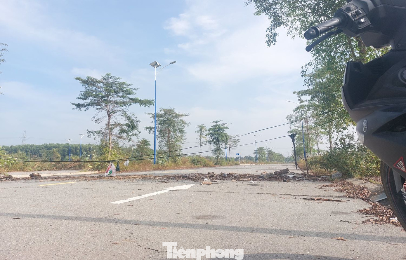 Dự án Khu nhà ở Đại Nam được phê duyệt quy hoạch chi tiết tỷ lệ 1/500 từ năm 2017 và một năm sau được chấp thuận chủ trương đầu tư. Dự án được kỳ vọng sẽ mang đến nơi an cư cho hàng ngàn lao động. Tuy nhiên, với vị trí đắc địa nằm ở trung tâm thành phố mới Bình Dương, chỉ những người có thu nhập cao mới đủ khả năng sở hữu lô đất, căn hộ tại dự án này. Dự án Khu nhà ở Đại Nam được phê duyệt quy hoạch chi tiết tỷ lệ 1/500 từ năm 2017 và một năm sau được chấp thuận chủ trương đầu tư. Dự án được kỳ vọng sẽ mang đến nơi an cư cho hàng ngàn lao động. Tuy nhiên, với vị trí đắc địa nằm ở trung tâm thành phố mới Bình Dương, chỉ những người có thu nhập cao mới đủ khả năng sở hữu lô đất, căn hộ tại dự án này.