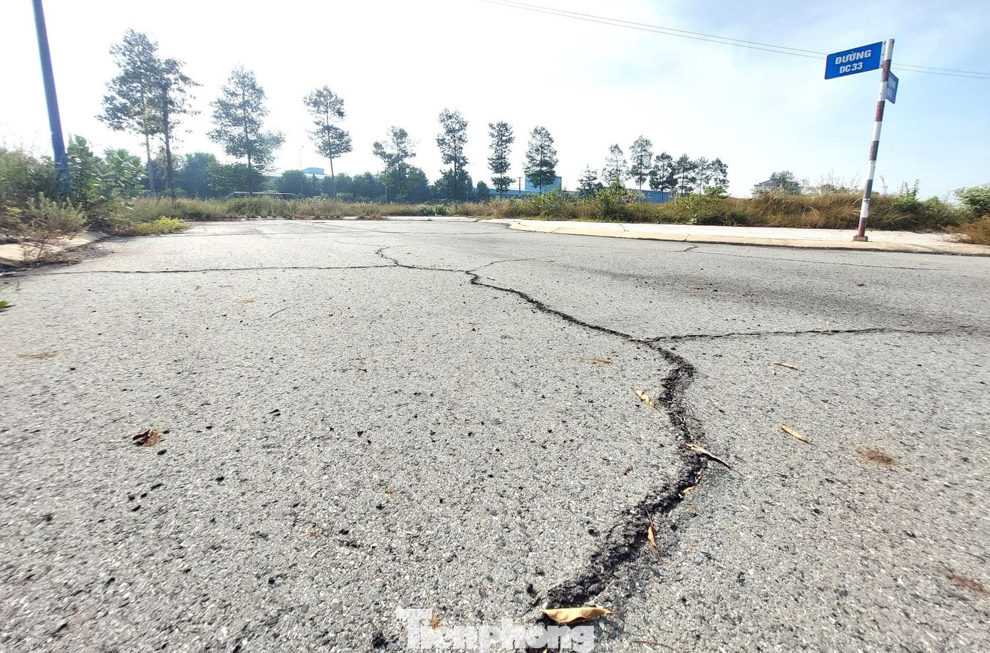 Theo ghi nhận của phóng viên, dự án Khu nhà ở Đại Nam đã được đầu tư khá hoàn chỉnh hạ tầng kỹ thuật như đường nội bộ, vỉa hè, cây xanh, điện.. từ năm 2021. Tuy nhiên, từ đó đến nay, khu đất để hoang dẫn tới xuống cấp, hư hỏng. Theo ghi nhận của phóng viên, dự án Khu nhà ở Đại Nam đã được đầu tư khá hoàn chỉnh hạ tầng kỹ thuật như đường nội bộ, vỉa hè, cây xanh, điện.. từ năm 2021. Tuy nhiên, từ đó đến nay, khu đất để hoang dẫn tới xuống cấp, hư hỏng.