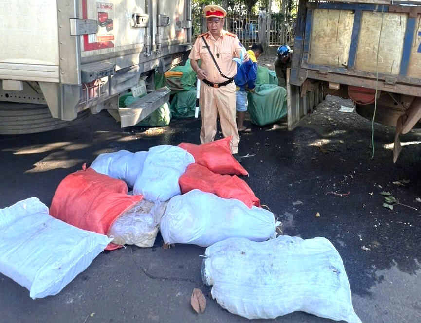 Lực lượng chức năng phát hiện trên xe tải có số lượng lớn thịt, nội tạng bốc mùi hôi thối.