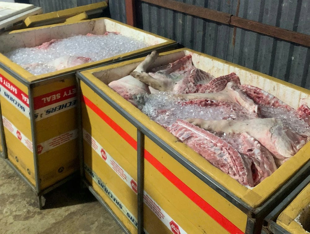 Hàng tấn thịt heo không rõ nguồn gốc, bốc mùi được công an phát hiện trên đường đi tiêu thụ.