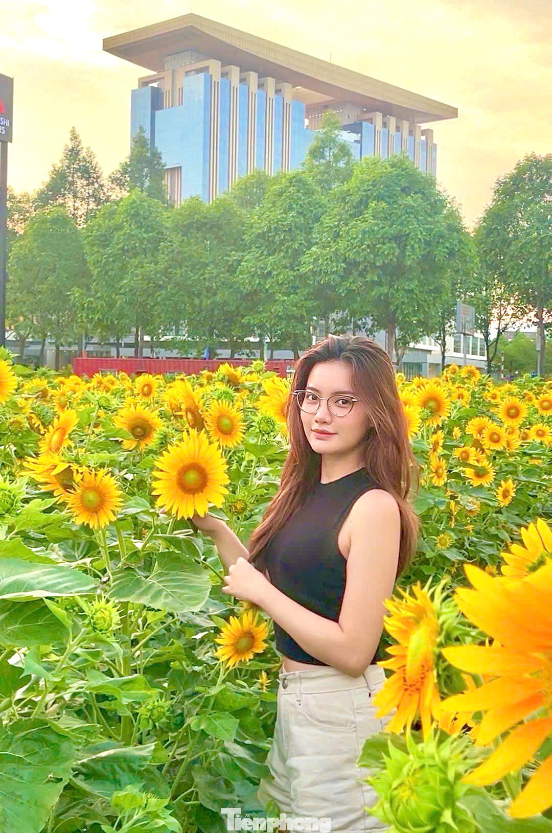 Đây là một trong những địa điểm "check in" lý tưởng cho giới trẻ vào những ngày gần Tết Nguyên đán 2025.