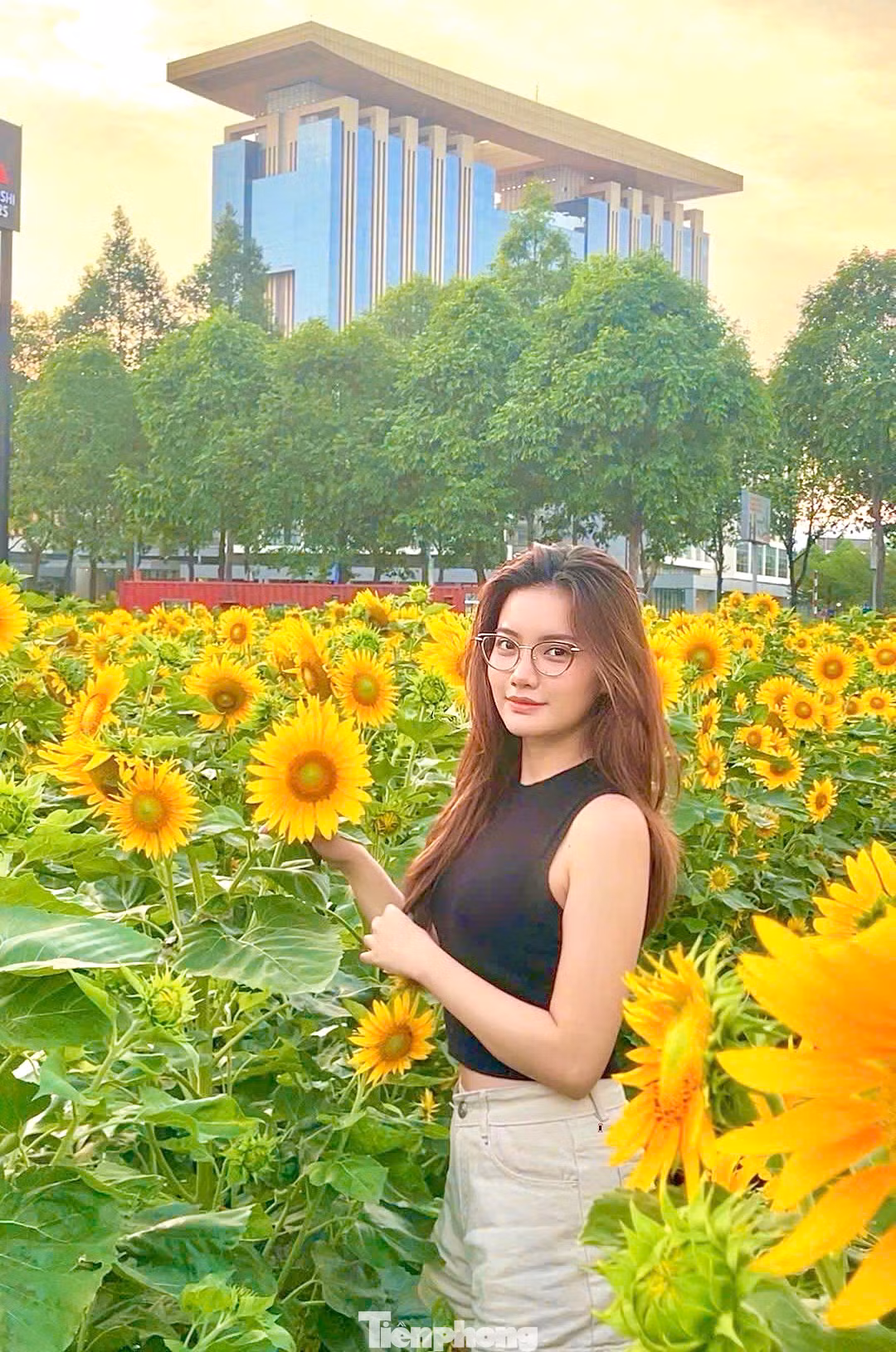 Đây là một trong những địa điểm "check in" lý tưởng cho giới trẻ vào những ngày gần Tết Nguyên đán 2025.