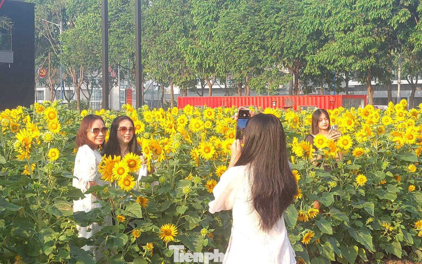 Không chỉ giới trẻ, nhiều người lớn tuổi cũng đến đây từ rất sớm để chụp ảnh làm kỷ niệm.