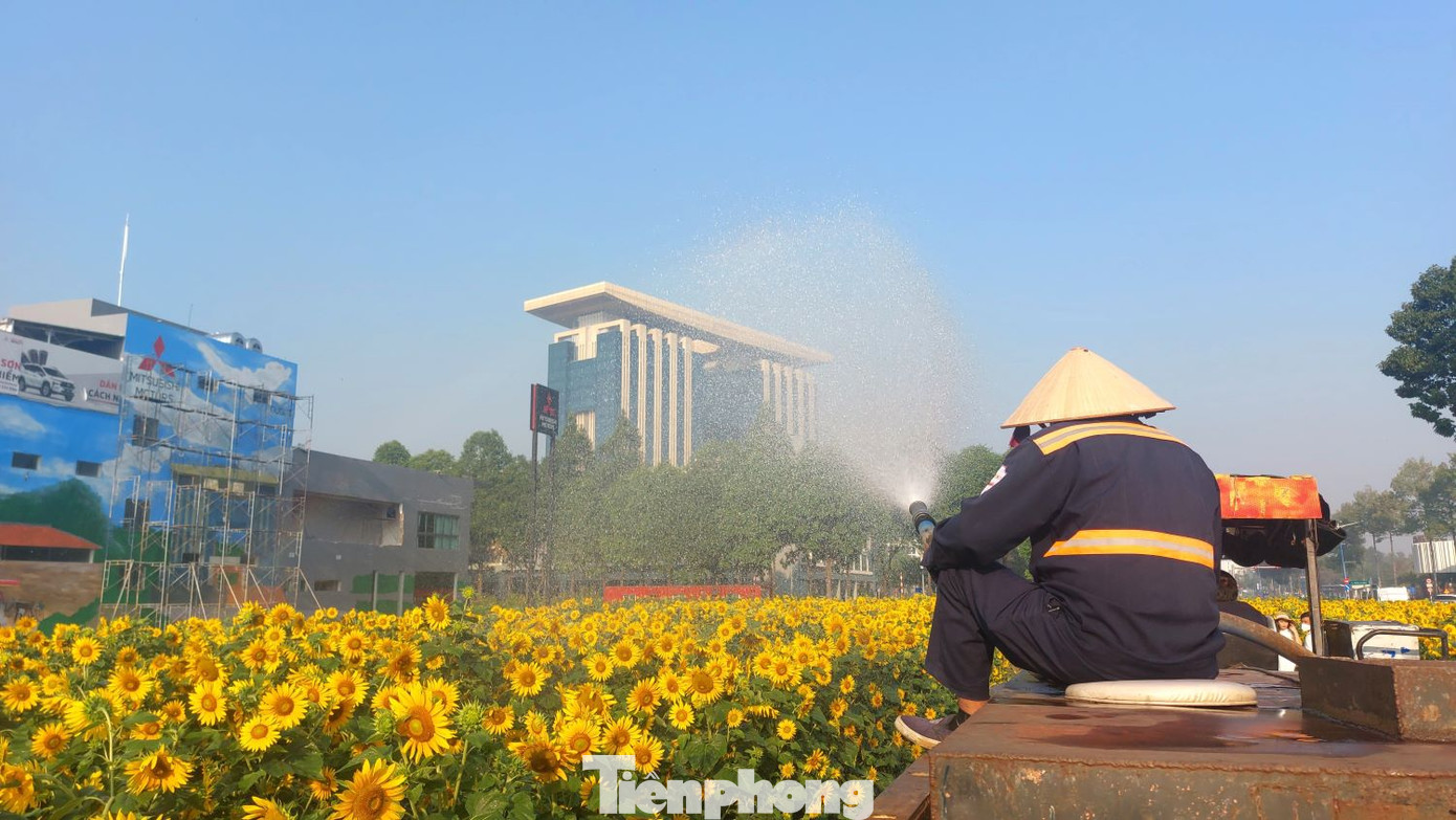 Nằm ngay sau lưng tòa nhà Trung tâm hành chính tỉnh Bình Dương, vườn hoa hướng dương đua nở đã thu hút giới trẻ tìm đến “check in”.