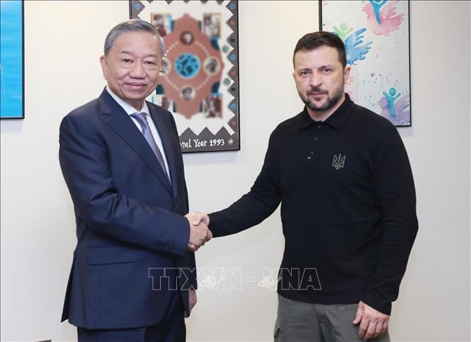 Tổng Bí thư, Chủ tịch nước Tô Lâm gặp Tổng thống Ukraine Volodymyr Zelensky. (Ảnh: Lâm Khánh/TTXVN)