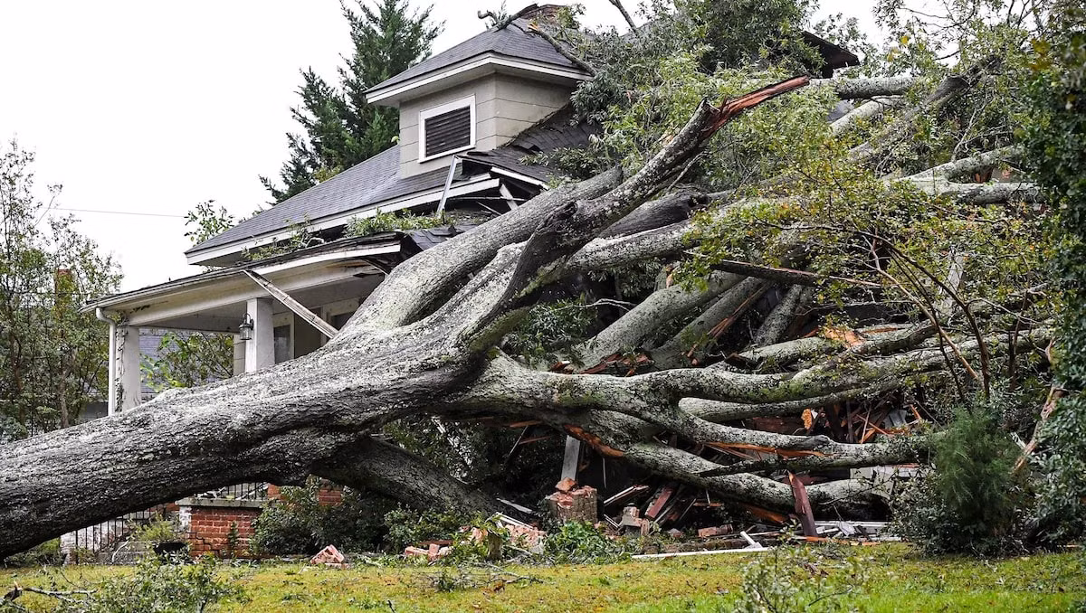 Cây đổ ở Nam Carolina. (Ảnh: Reuters)