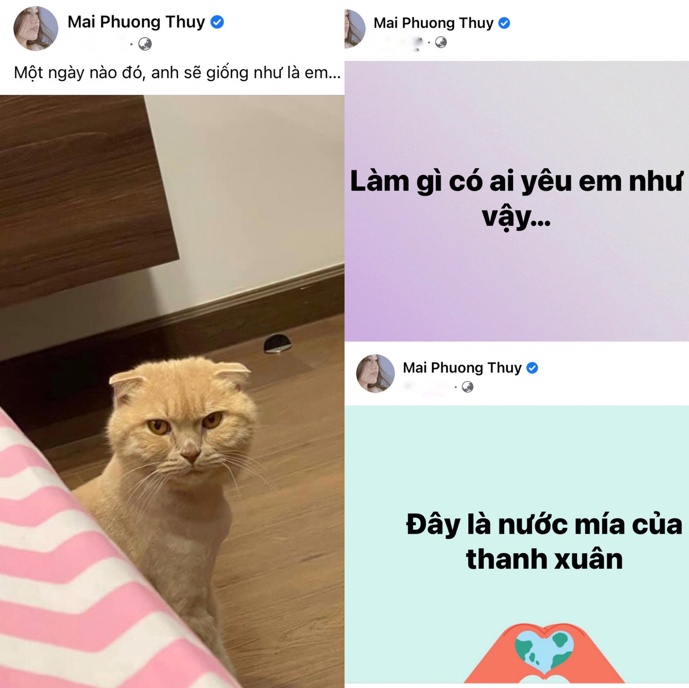 Trước đó, Mai Phương Thuý cũng đã nhiều lần thể hiện sự mặn mà của mình với những dòng trạng thái "lạ lắm à nghen". Trước đó, Mai Phương Thuý cũng đã nhiều lần thể hiện sự mặn mà của mình với những dòng trạng thái "lạ lắm à nghen".