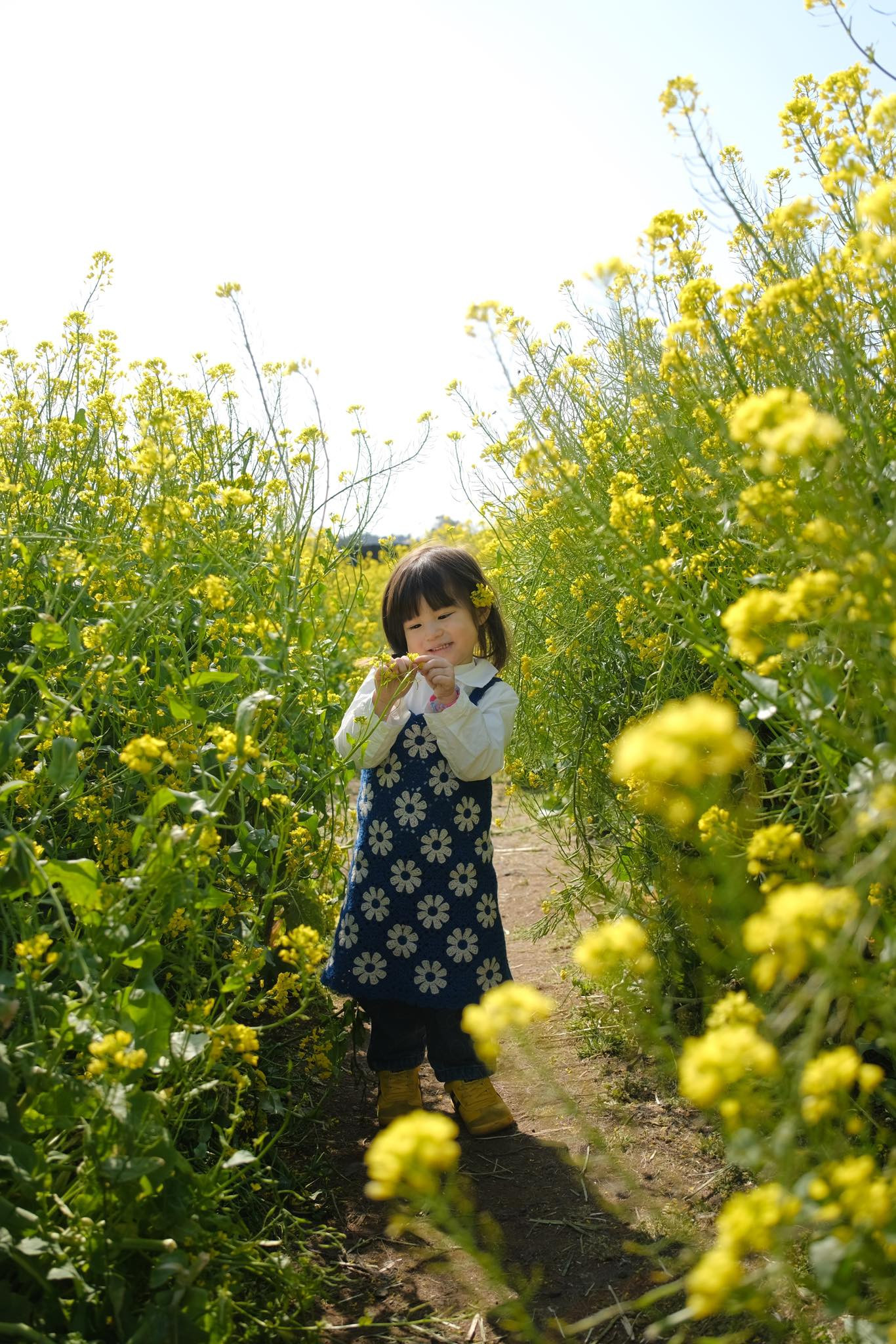 Pam Yêu Ơi &quot;cười lên cho vui&quot; tại vườn hoa cải.