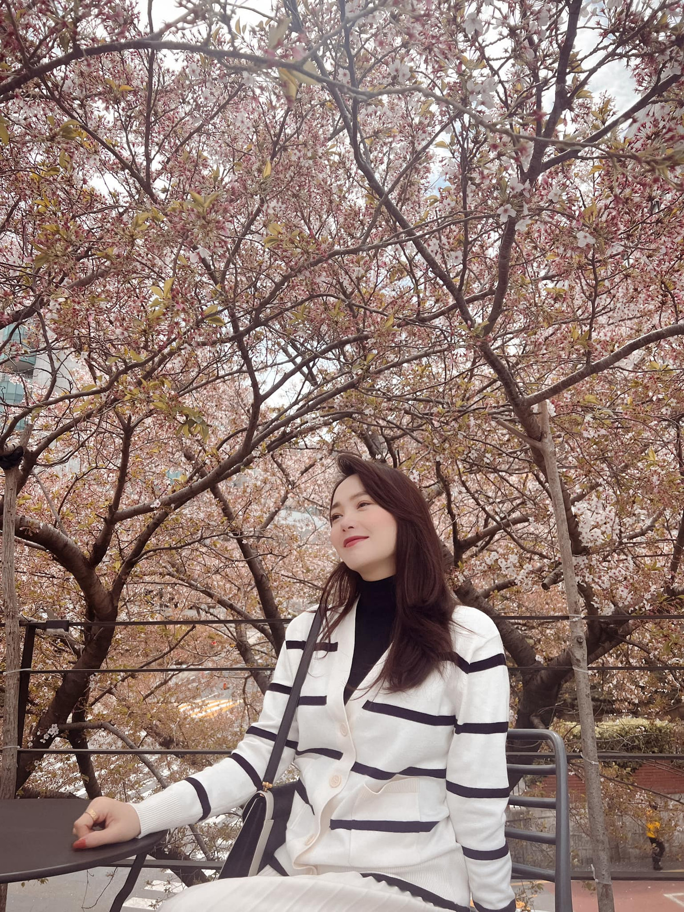 Minh Hằng khoe vẻ đẹp trong veo trong khung cảnh hoa anh đào nở rộ tại Busan (Hàn Quốc). Minh Hằng khoe vẻ đẹp trong veo trong khung cảnh hoa anh đào nở rộ tại Busan (Hàn Quốc).