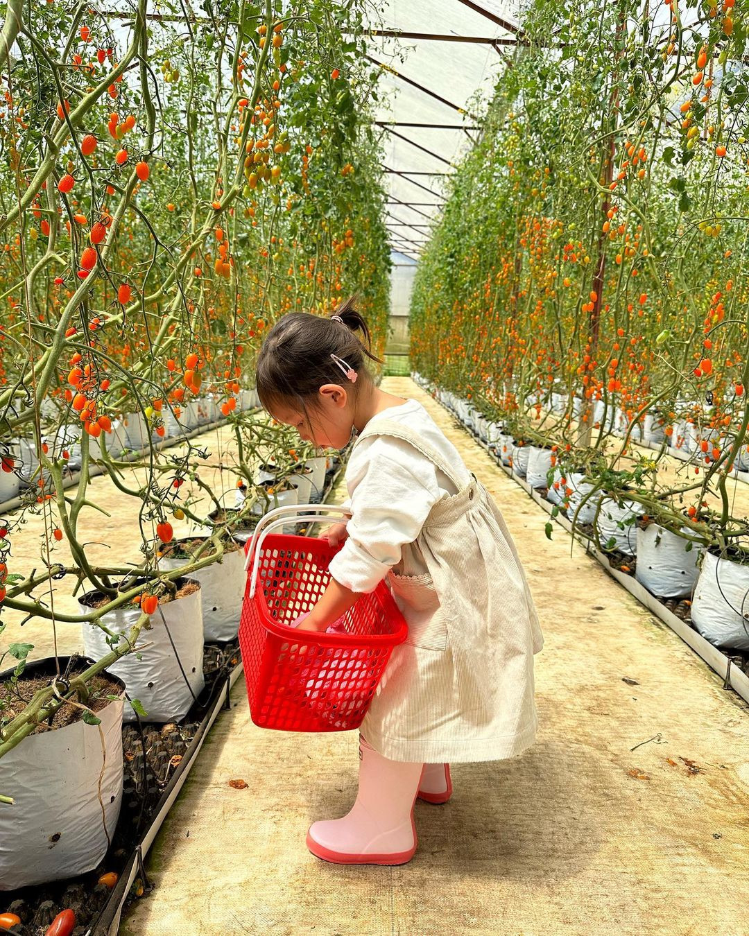 Con gái Hồ Ngọc Hà có tính cách dịu dàng, ngoan ngoãn.