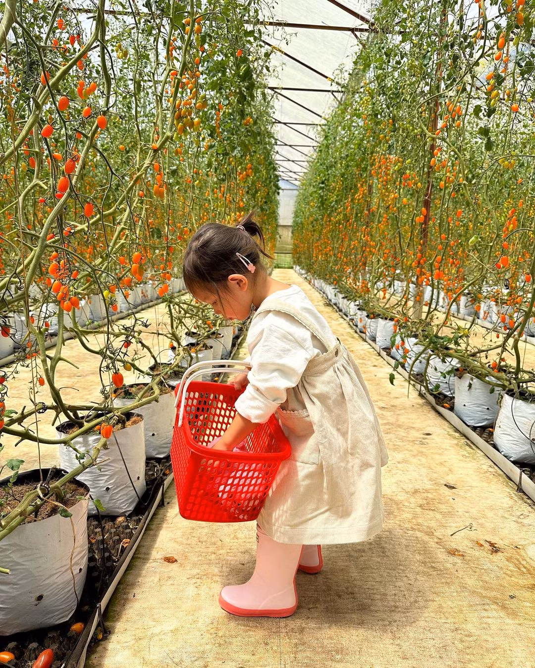 Con gái Hồ Ngọc Hà có tính cách dịu dàng, ngoan ngoãn. Con gái Hồ Ngọc Hà có tính cách dịu dàng, ngoan ngoãn.