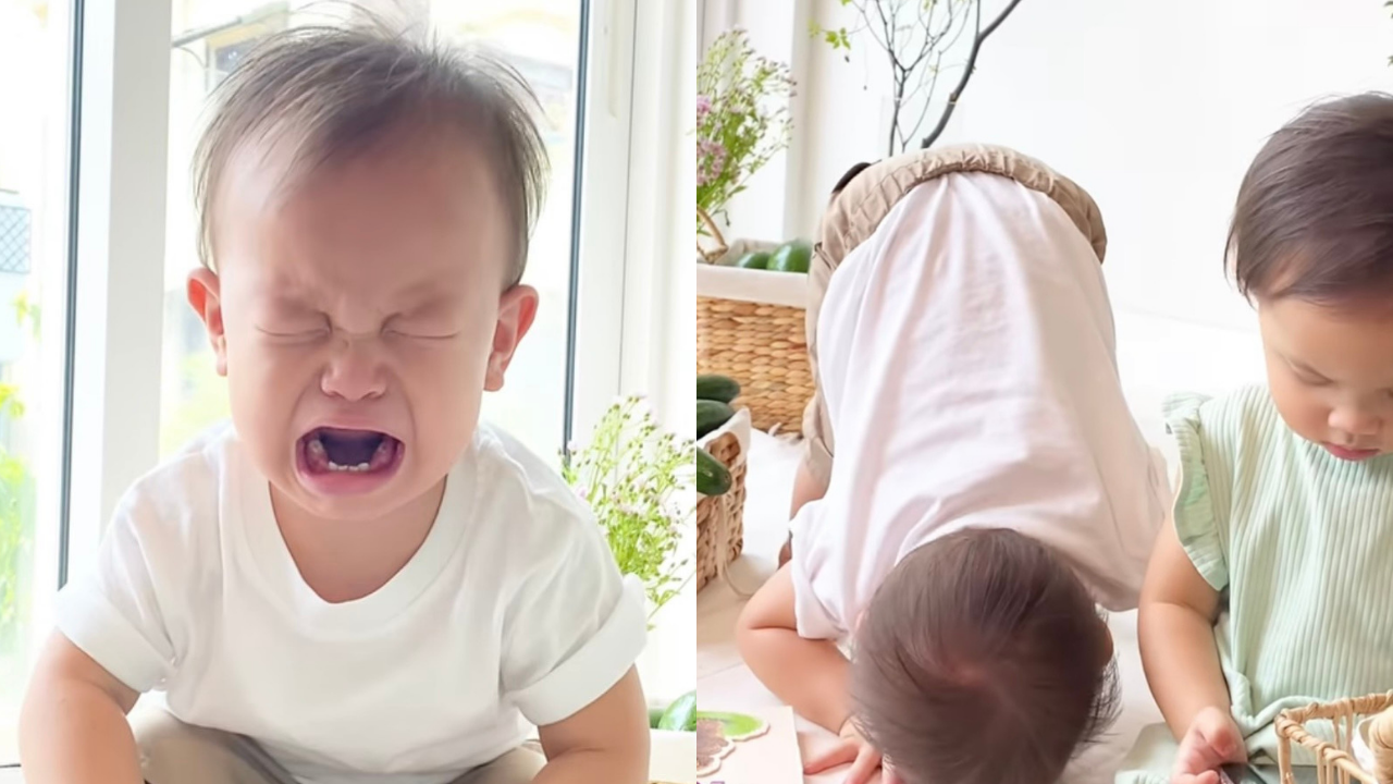 Khoảnh khắc &quot;khó ở&quot; của cậu út Leon. - Ảnh: IGNV.