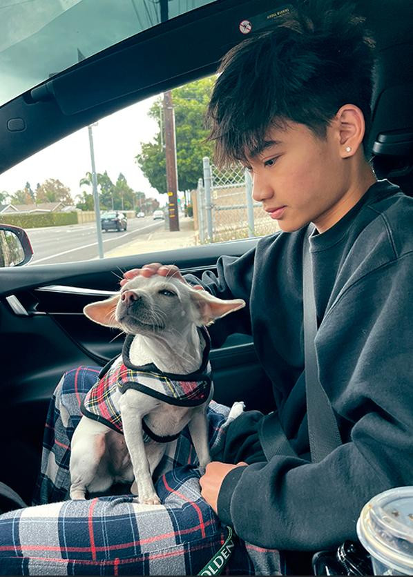 Anh chàng điển trai không chỉ thích thể thao mà còn biết nấu ăn.