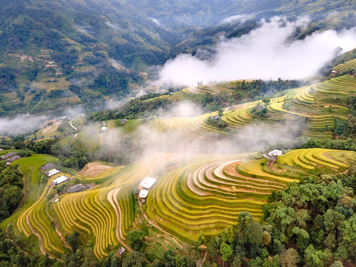Ruộng bậc thang Hoàng Su Phì ở Hà Giang. Ảnh: Trung tâm Thông tin du lịch.