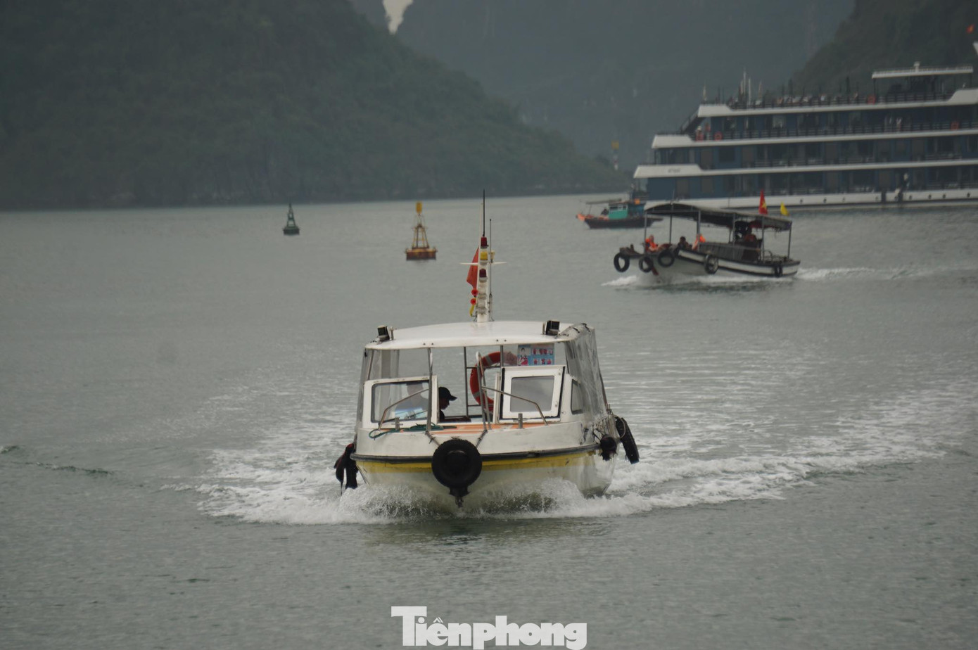 Ảnh: Nguyễn Hoàn