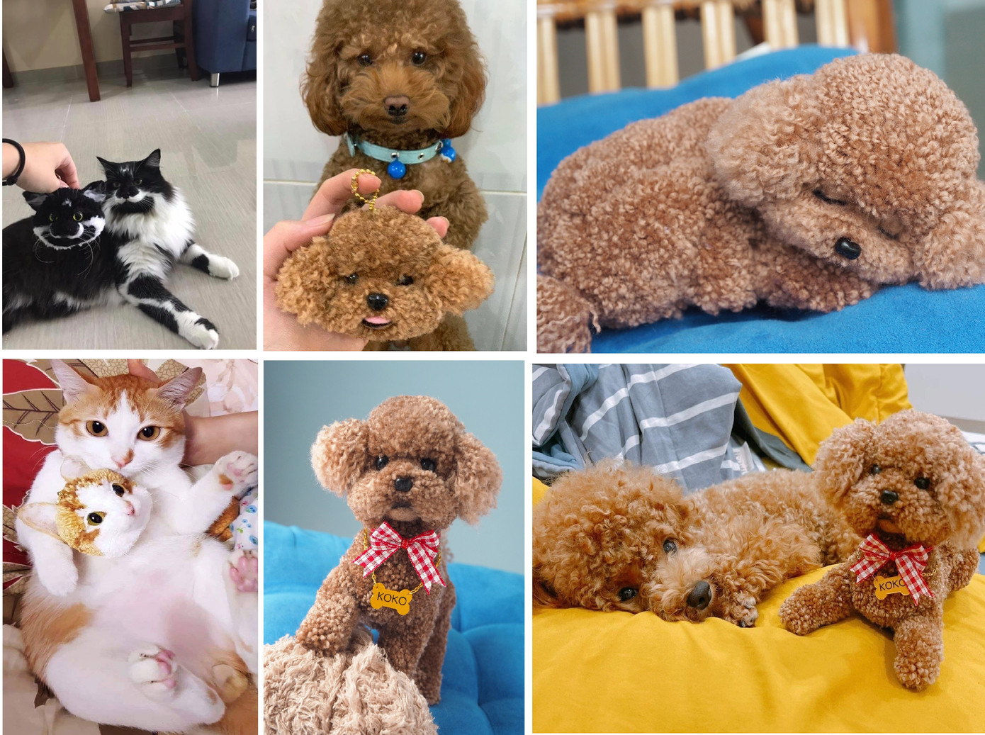 Nguyên mẫu thú cưng bên pompom được Huy tạo hình.