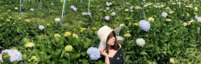 Nữ thạc sĩ xinh đẹp ở Hải Phòng thi 'Ai là triệu phú' bị tấn công trên mạng ảnh 7 Nữ thạc sĩ xinh đẹp ở Hải Phòng thi 'Ai là triệu phú' bị tấn công trên mạng ảnh 7